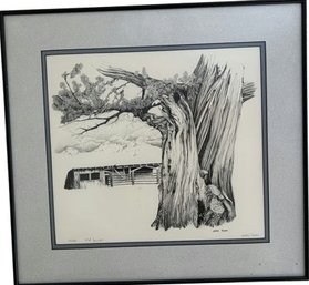 Old Juniper Framed Limited Edition Print Sketch Signed By Artist Jerry Pogan (21x20)