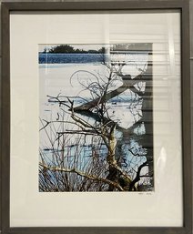 Framed Nature Photography Signed By Photographer SBV, 2015-17x21