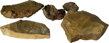 Assorted Rocks