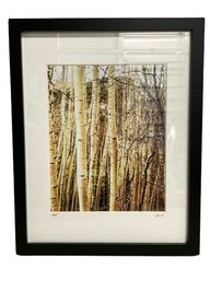 Framed Aspen Photography Signed By Photographer SBV 2018-12x15