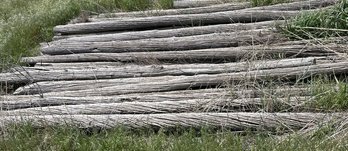 Barn Wood / Telephone Poles Approx 12 Feet