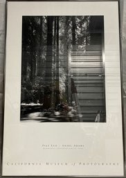 Fiat Lux By Ansel Adams. Framed Redwood Photography From The California Museum Of Photography- 24x36