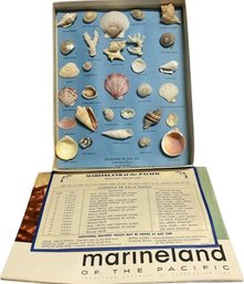 Treasure Of The Sea Collection No.1 From MarineLand Of The Pacific