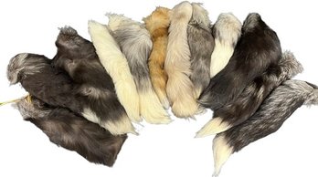 Twelve Real Fur Tails, Longest 18'