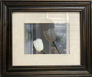 Framed Tulip Photography Signed By Photographer SBV, 2008-13x11