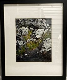 Framed Natural Photography Signed By Artist SBV 2012-14x17