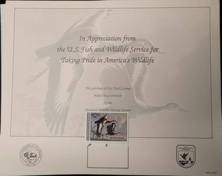 US Fish And Wildlife Stamps - 10'