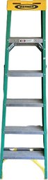 Werner 6' Ladder