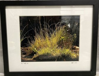 Framed Nature Photography From Au Sable Michigan. Signed By Photographer SBV 2010-15x12