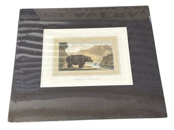 Hippopotamus Original Antique Stipple Style Print 16x18 In Plastic