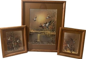 Trio Of Framed Duck Artwork: Large 21.5 X17.5 Small 9.5x11.5
