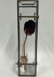 Glass Dome Rose, Preserved Flower, 8in Height