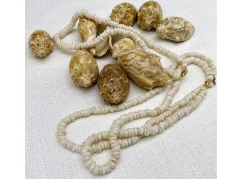 Sea Shell Collection, Including Three Lovely Shell Necklaces