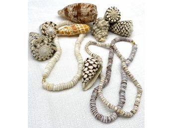 Miscellaneous Seashells And Three Shell Necklaces