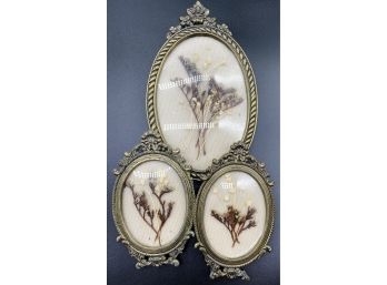 Very Beautiful Framed Dried Flowers In Matching Ornate Frames