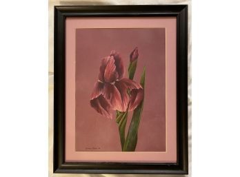 Painting Of Purple Flower Signed By Mickie Victor, Framed. No Glass