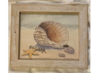 Color Sketch Of Seashells By Artist Barbara Fleri, Framed