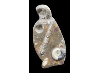 Orthoceras And Ammonite Fossil Rock Plate With Beautiful Detail