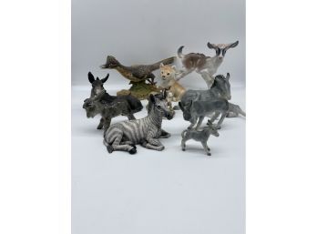 Fun Collection Of Animals. Donkeys, Zebra, Goat, Bird, And Lion.