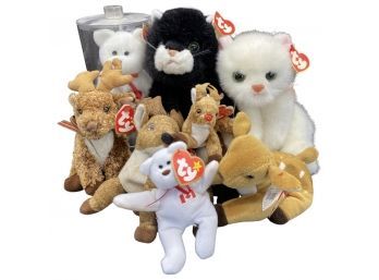 (7) Beanie Babies! Large And Teenie Beanie Babies, Including Valentino, Maple The Bear And More!