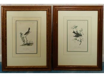 Pair Of Framed Bird Prints By J.J. Oudubon. Originally Sold For $90 EACH