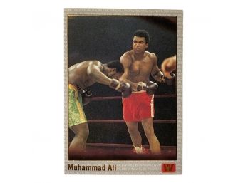 Muhammed Ali All World Boxing, Al Unser Jr. On Back Side By All World Racing