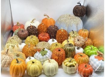 Assortment Of Pumpkins