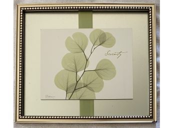 Framed Serenity Photo With Green Leaves In Gold Frame, 15X13 Inches