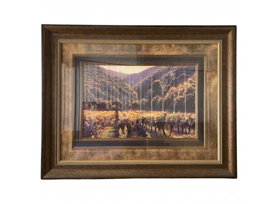 Beautiful Art Piece Of Vineyard By Picture Galleries Inc. Frame With Glass