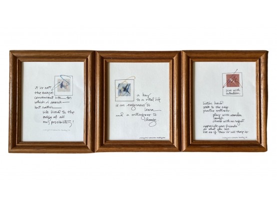 Set Of (3) Framed Photos With Quotes By Mary Anne Radmacher