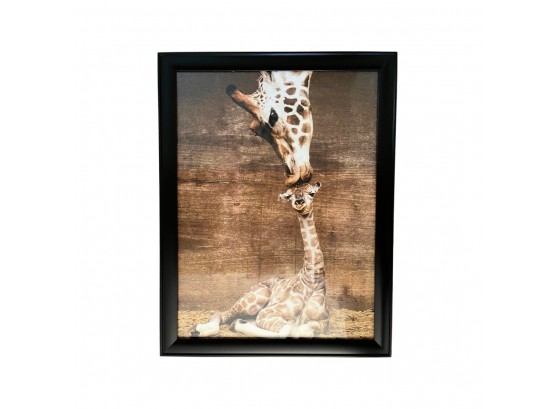 The First Kiss Giraffe Mom And Baby Framed Print