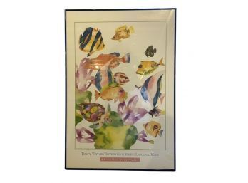 No Turtle Soup Today: Framed Fish Poster