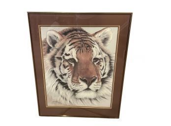 Lovely Framed Tiger Picture , Signed In Bottom Corner