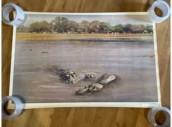 Landscape Poster Featuring Hippos. Paul Bosman 80. 19in H X 30in W