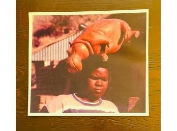 Photograph, Hippo And Man