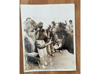 1988 Memorabilia From The Race Of The African Hippo