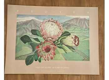 1984 Poster, PROTEA, Maui United Way, 40 Years Of Caring
