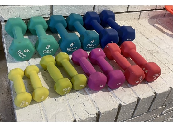 Color Fitness Weights From 1 To 8 Pounds