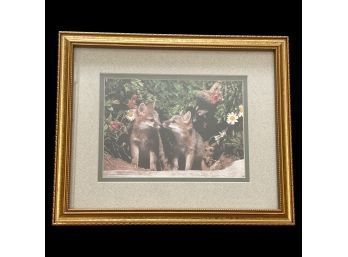 Framed Baby Foxes Photograph (11.5x9.25)