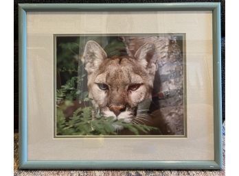 Photograph, Mountain In The Wild By Barbara Von Hoffman, Framed 21 X 17 Inches