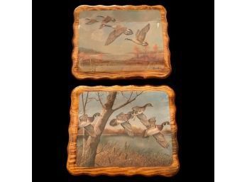 Pair Of Wooden Plaque Bird Photos With Gloss Finish By Ruane Manning (11.5x9.5)