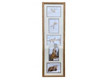 Collection Of Fox Photographs In Collage Frame, Signed By Artist. 12 X 38 Inches