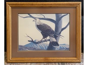 Hawk Print, Signed By Artist Keith Freeman, 21 X 17 Inches