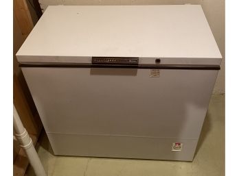 Amana Deepfreeze Food Freezer (38.75x36x23.5) Working Condition