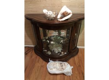 Large Sea Shell And Coral Collection (display Case Not Included)