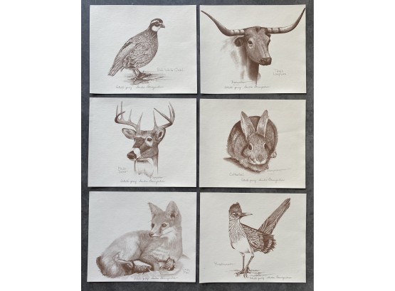 Set Of 6 Artists Proofs By Sandra Baumgardner, Woodland Creatures On Paper, 13 X 11 Inches