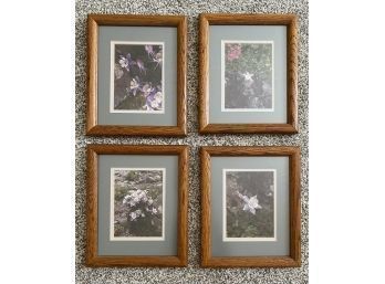 Set Of 4 Framed Photographs Of Wildflowers, 5 X 7 Each