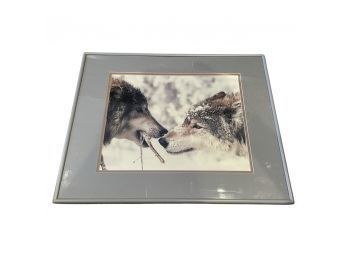 Two Wolves Framed Photograph, 20x16