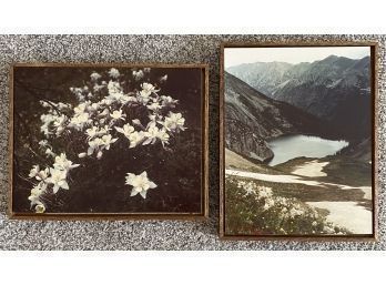 (2) Photographs On Canvas, Landscape And Wildflowers, Approximately 10 X 16 Inches Each