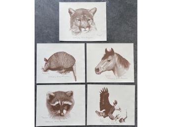 Set Of 5 Artists Proof By Sandra Baumgardner, Woodland Creatures, 13 X 11 Inches